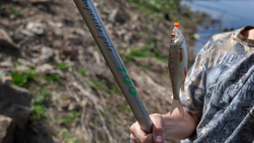 Рыбалка весной на поплавок на реке: секреты успешного лова ранней весной